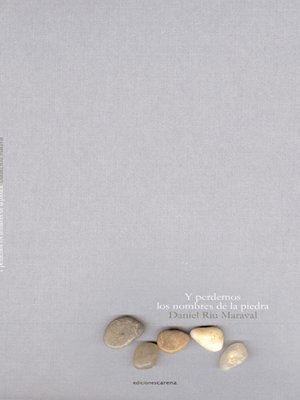 cover image of Y perdemos los nombres de la piedra